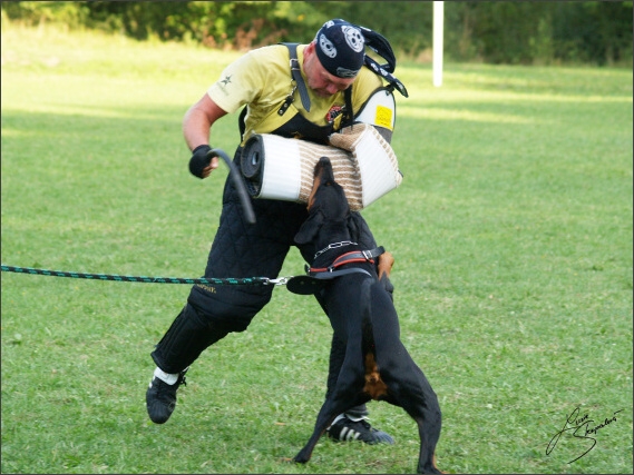 Summer training camp - Jelenec - 2007